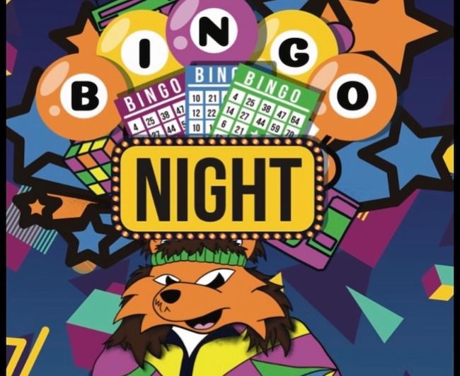 نکات طلایی در مورد بازی بینگو + ترفند درآمد ۵۰ میلیونی bingo